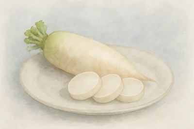 皿にのせた大根と輪切りの水彩画イラスト